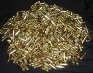Reloaded Ammo